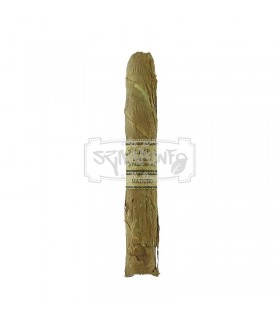 Leaf by Oscar Maduro Toro