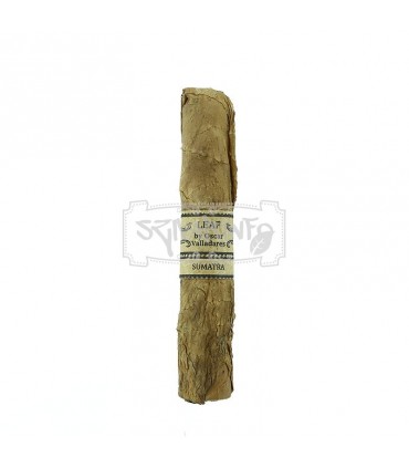 Leaf by Oscar Sumatra Sixty