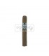 Asylum 13 Robusto