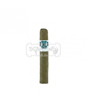 Asylum Schizo Robusto