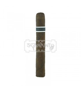 RoMa Craft CroMagnon Cranium