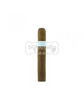 RoMa Craft WunderLust Robusto Bünde