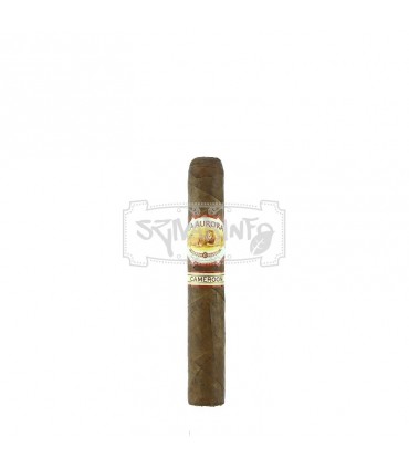 La Aurora 1903 Cameroon Robusto