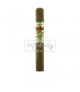 Paradiso Revelation Legend