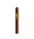 Madrigal Picador Churchill