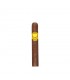 Asylum 13 Split Personality Robusto