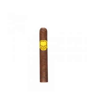 Asylum 13 Split Personality Robusto