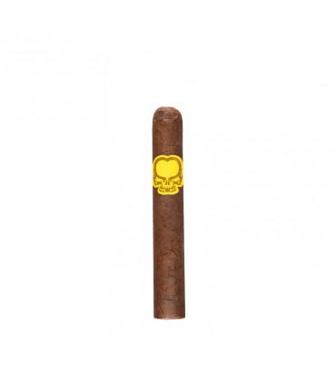 Asylum 13 Split Personality Robusto