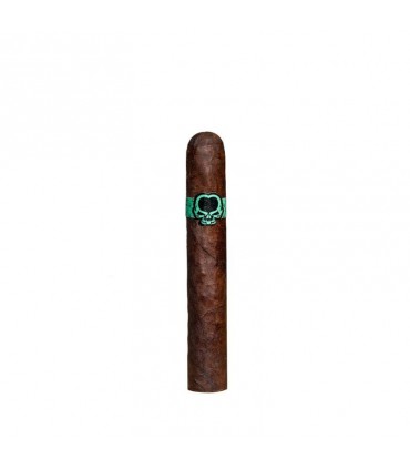 Asylum 13 Cool Brew Robusto