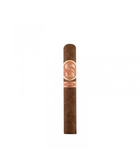 Matilde Quadrata Robusto