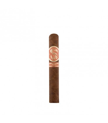 Matilde Quadrata Robusto