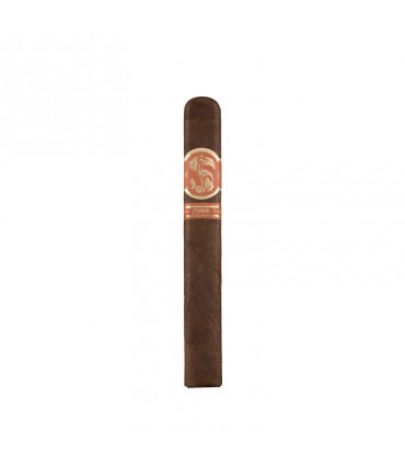 Matilde Quadrata Toro Bravo