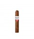 Buena Vista Incognito Robusto