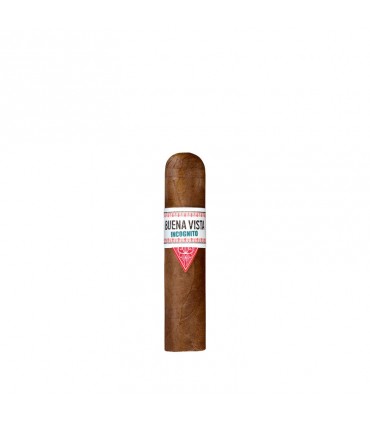 Buena Vista Incognito Short Robusto