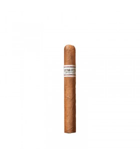 Buena Vista Araperique Toro 5 db