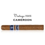 Rocky Patel Vintage 2003 Cameroon